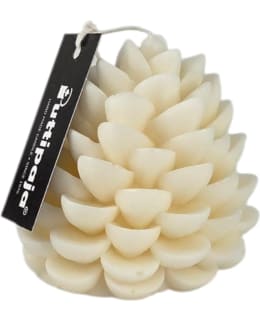 PUTTIPAJA KÄPY 7 CM KER SOIJAVAHAKYNTTI Main Image