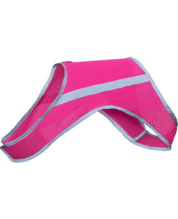 FINNERO KELTAINEN L KOIRAN HUOMIOLIIVI Main Image