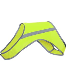 FINNERO PINKKI XXL KOIRAN HUOMIOLIIVI Main Image