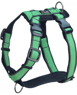 FINNERO RESCUE DOG HARNESS GREEN L Main Image