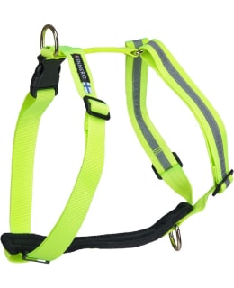FINNERO SALO YELLOW M ADJUSTABLE HARNESS Main Image