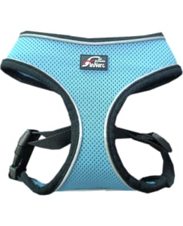 FINNERO LIGHT REFL HARNESS TURQUOISE M Main Image