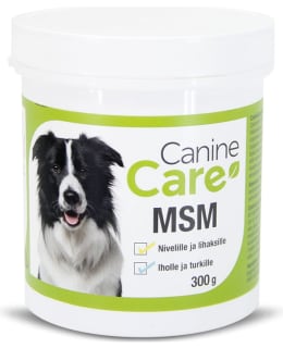 CANINECARE MSM 300 G Main Image