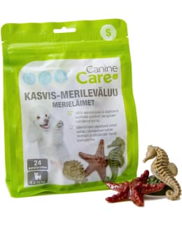 CANINECARE SEA ANIMALS S/24 CHEW BONE Main Image