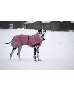 Kivalo dog quilt. jacket Luosto vanamo35 Main Image