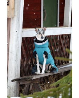Kivalo dog quilted jacket Luosto puro45 Main Image
