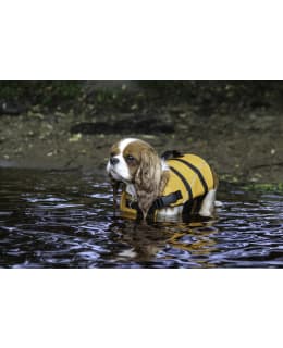 BOOGIE DOG LIFE JACKET WAVE, M Main Image