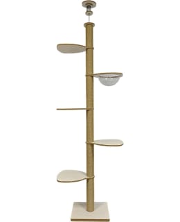 BOOGIE AVALA KIIPEILYPUU Main Image