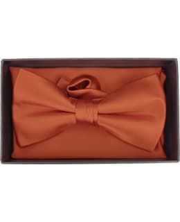 VENIZ 73027 BOW TIE&POCKET SQUARE SET Main Image