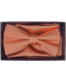 VENIZ 73082-2 BOW TIE AND POCKET SQUARE Main Image