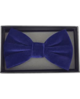 VENIZ 73095-TSININEN M.SAMETTIRUSETTI Main Image