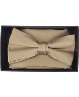 VENIZ 73085 BOW TIE/POCKET SQUARE SET Main Image