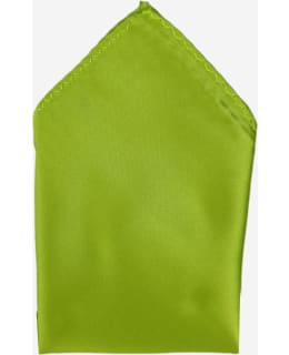 VENIZ 71029-6 M.POCKET SQUARE APPLE Main Image