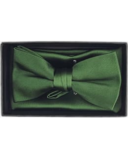 VENIZ 73167-6 BOW TIE AND POCKET SQUARE Main Image