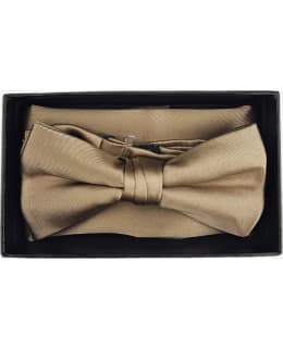 VENIZ 73169 BOWTIE+POCKET SQUARE Main Image