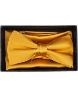 VENIZ 73170 BOWTIE&POCKET SQUARE Main Image
