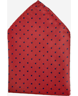VENIZ 76383-3-30X30CM POCKET SQUARE Main Image