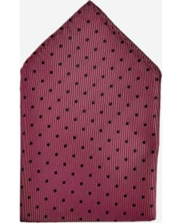 VENIZ 76384-3-30X30CM POCKET SQUARE Main Image