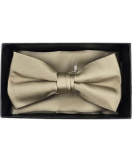 VENIZ-73192-14 M.BOW TIE AND POCKET Main Image