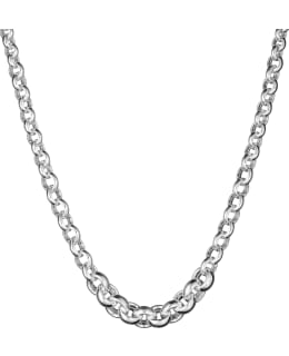 SK EK137-45 PAPUKETJU Main Image