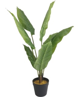 LYKKE PEACE LILY 105CM TEKOKASVI Main Image