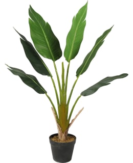 LYKKE STRELITZIA TREE 90CM TEKOKASVI Main Image