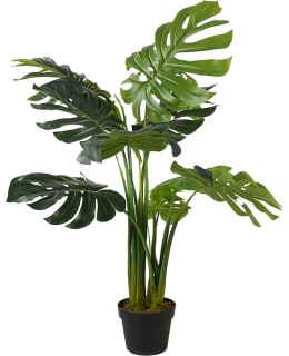 LYKKE MONSTERA PLANT 115CM TEKOKASVI Main Image