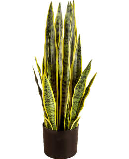 LYKKE SNAKE PLANT 65CM TEKOKASVI Main Image