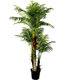 LYKKE ARECA PALM 180CM TEKOKASVI Main Image