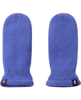 REIMA 5300318A-5660-BRV-5 MITTENS Main Image