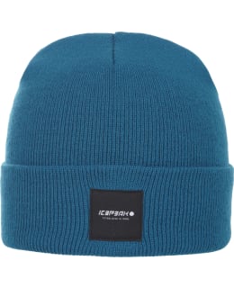 ICEP HARCOURT BEANIE 2 58808 850 I 366 Main Image