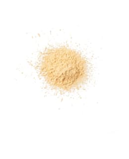 PROFUSION TRANSLUCENT 25G LOOSE POWDER Main Image