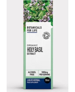 BOTANICALS 4LIFE PYHÄBASILI 50 ML RAVLIS Main Image