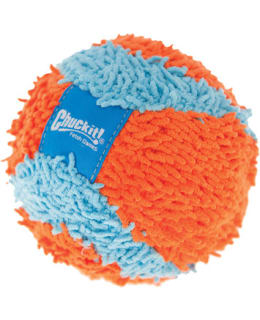 CHUCKIT INDOOR 12CM PALLO Main Image