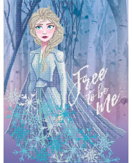 DD DISNEY FREE TO BE ME TIMANTTITYÖ Main Image