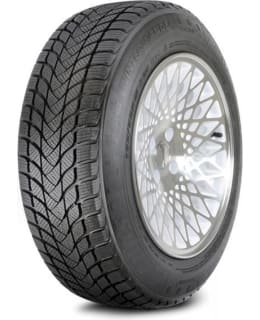 LANDSAIL 205/55R17 WINTER LANDER NORDIC Main Image
