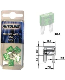 AL 6X32MM 30A 5KPL MINISULAKE Main Image
