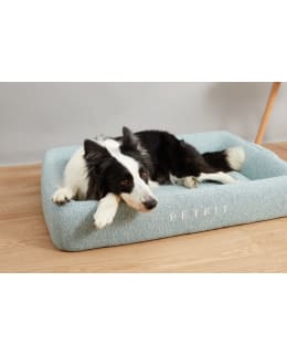 PETKIT ALL SEASON SLEEP (B5) PET BED Main Image
