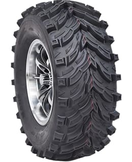 FORERUNNER MARS B 8/12/2025 Main Image