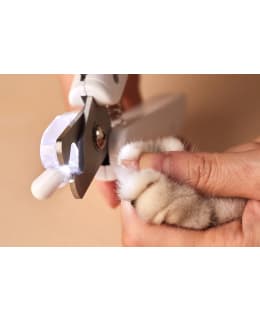PETKIT LED NAIL CLIPPER Main Image