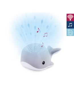 ZAZU WALLY HARMAA PROJEKTORI / YÖVALO Main Image