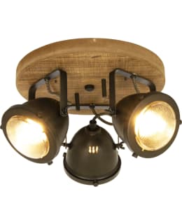 ANETA ALASKA 3-OS ANT/PUU KOHDEVAL. Main Image