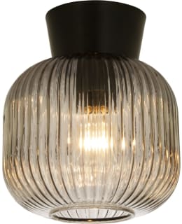 ANETA VANJA MST/SAVU PLAFONDI Main Image