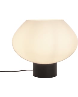 ANETA BELL ISO MU/VALK PÖYTÄVALAISIN Main Image