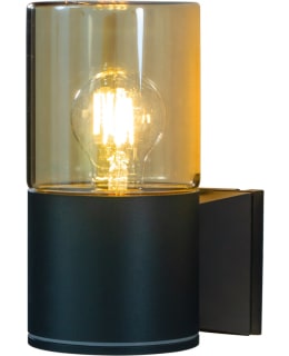 ANETA LYSEKIL ULKOSEINÄVALAISIN MU/ME.PI Main Image