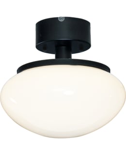 ANETA NEW AUGUST PLAFONDI MU/VAL Main Image