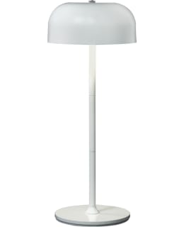 ANETA IRIS VALK LADAT. LED PÖYTÄVALAISIN Main Image