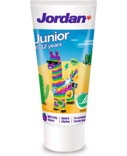 JORDAN MILD FRUITY 6-12 V HAMMASTAHNA Main Image