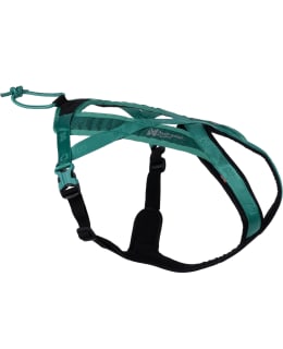 NSD RUSH HARNESS TEAL 6 KOIRAN VETOV Main Image