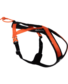 NSD RUSH HARNESS BL.OR. 2 KOIRAN VETOV Main Image